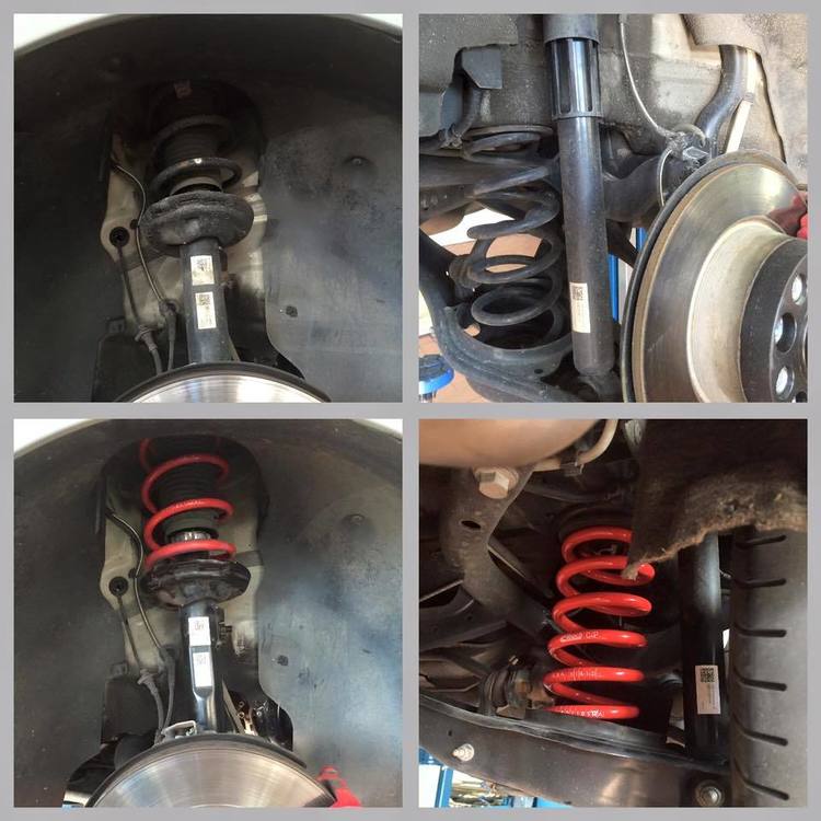 Eibach Sportline 2.jpg