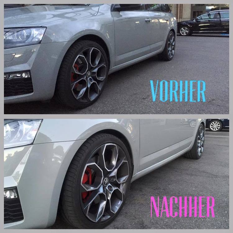 Eibach Sportline 4.jpg