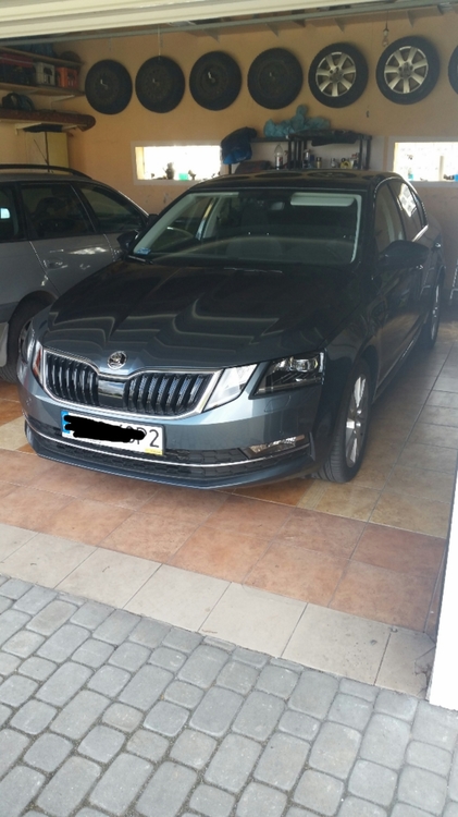 2017-03-30 08.53.04.jpg