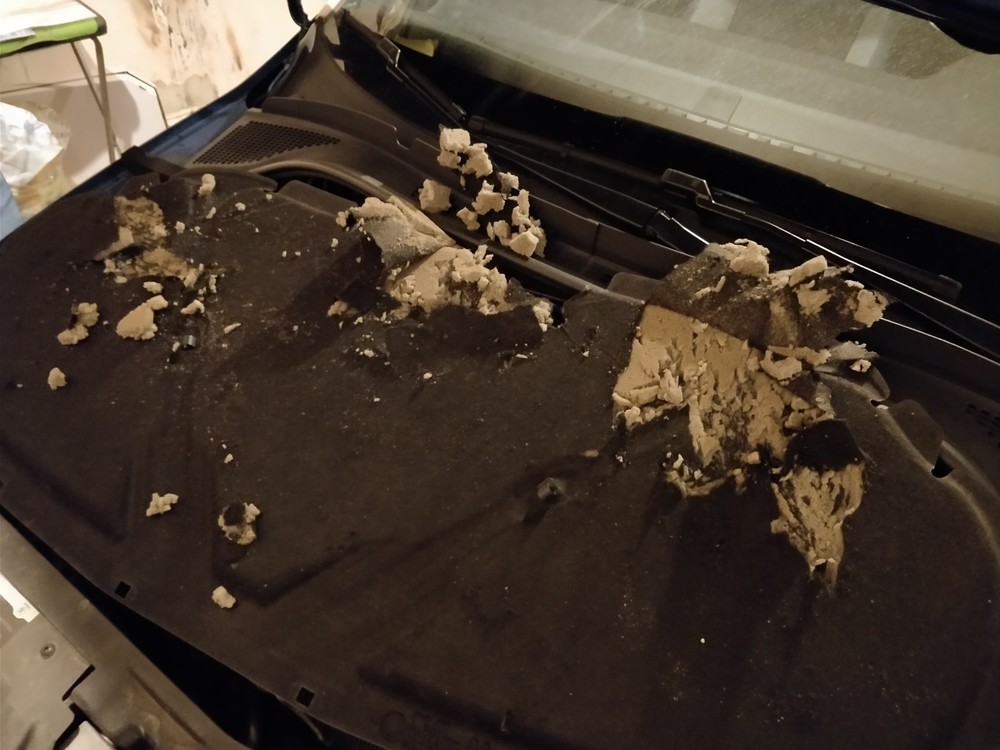 2018-01-24 17.14.41.jpg