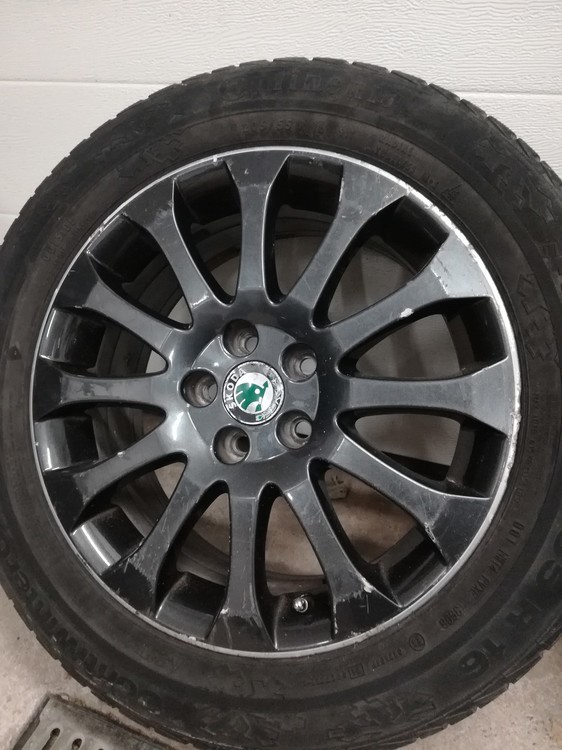 Fabia monte carlo (5).jpg