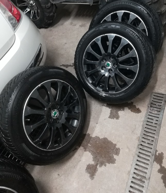 Fabia monte carlo (13).jpg