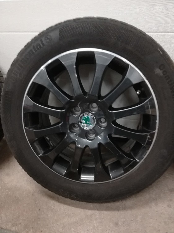 Fabia monte carlo (2).jpg