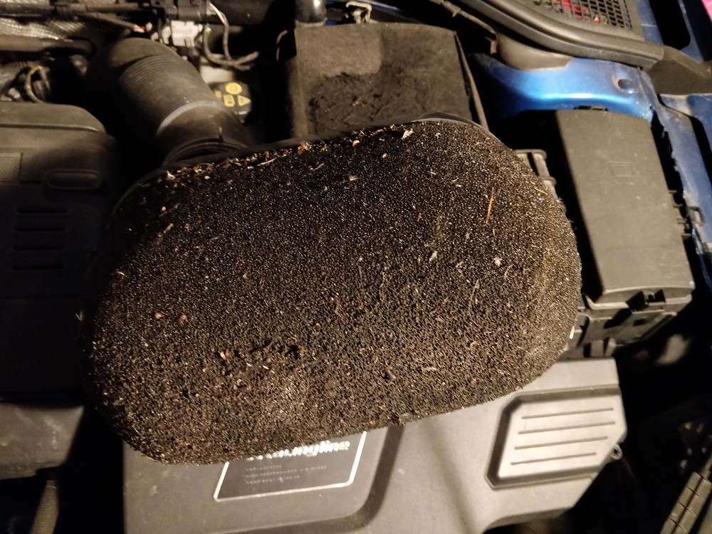 2019-01-03 20.45.45.jpg