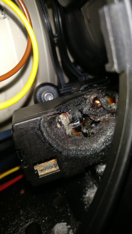 IMG_20230401_112458__01 2.jpg