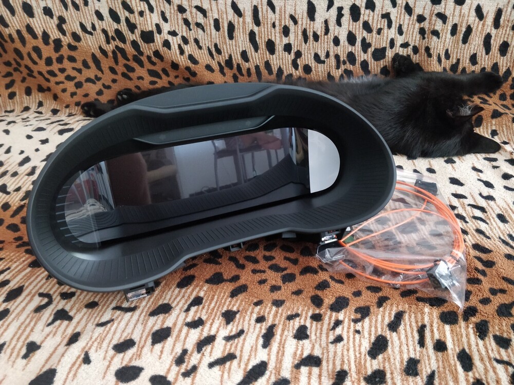 2019-09-01 14.49.55.jpg