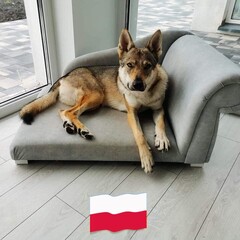 Mateusz.cyb