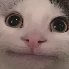 qmaverickq