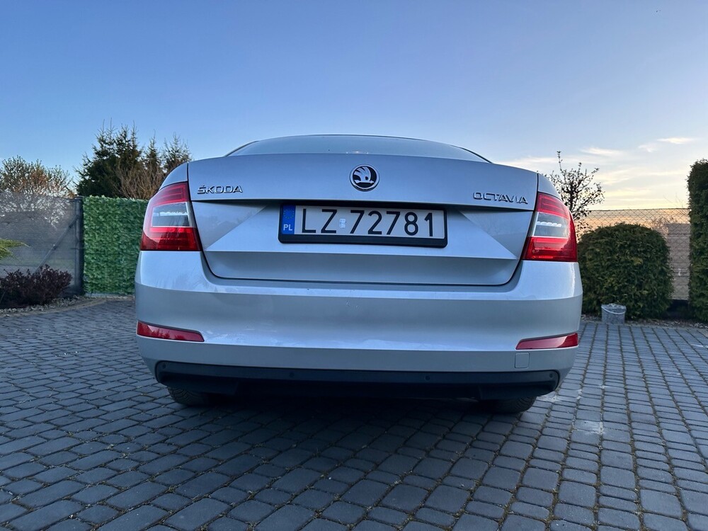 IMG_3226 Duży.jpeg