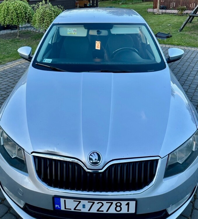 IMG_3236 Duży.jpeg