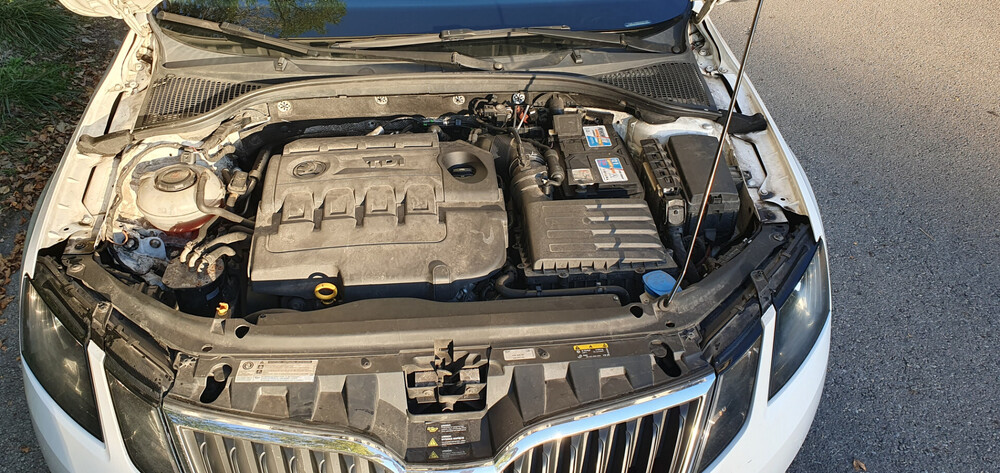 20260929_172446.jpg